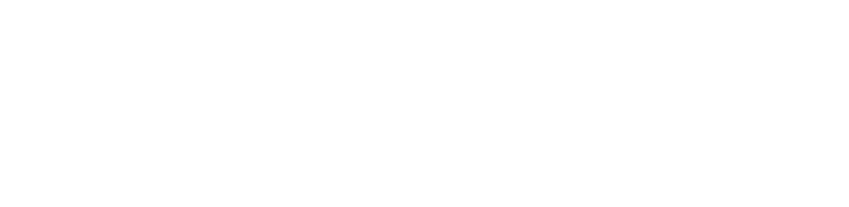 Logo blm